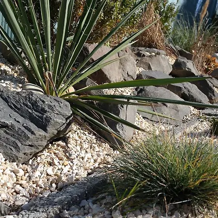 Martyniak 2* Dortmund